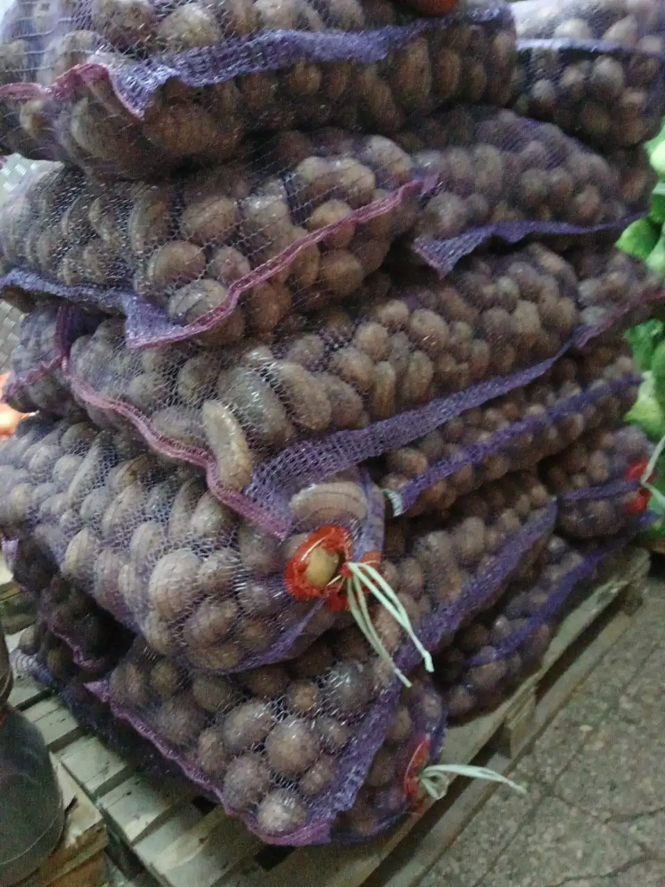 Картофель сорт Гала из Чувашии - Продукты питания (Барахолка) в Ульяновск