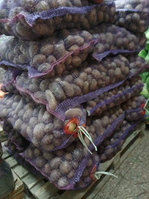 Картофель сорт Гала из Чувашии - Винтаж в Ульяновск