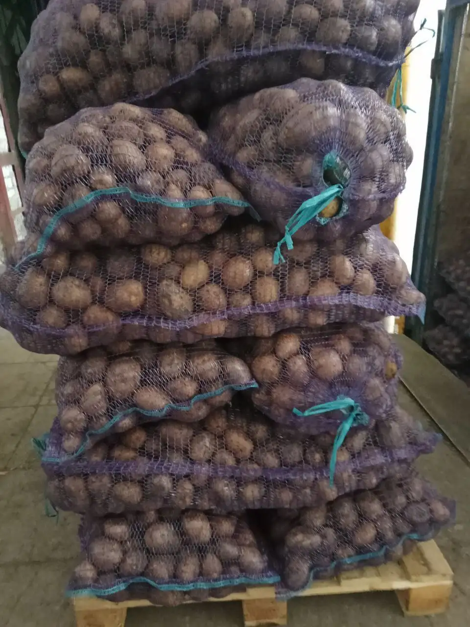 Картофель сорт Гала из Чувашии - Продукты питания (Барахолка) в Ульяновск