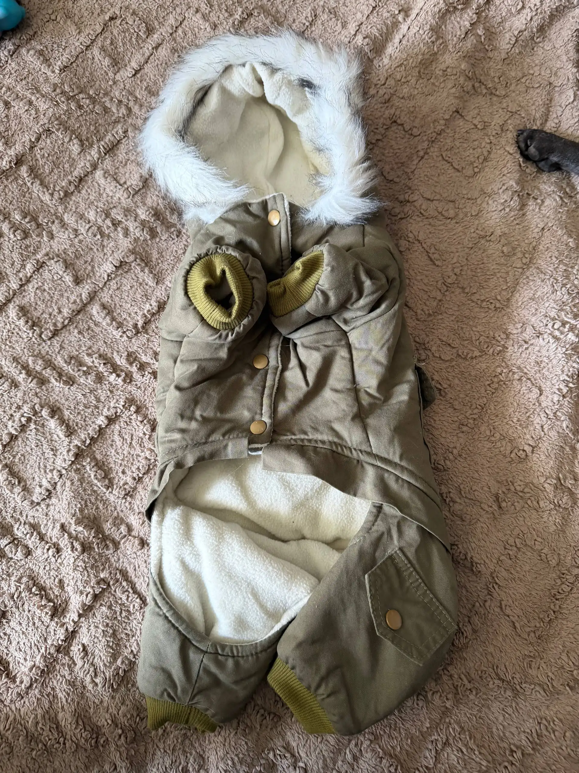 Продажа костюмов для собак - Одежда для животных (Животные) в Ульяновск