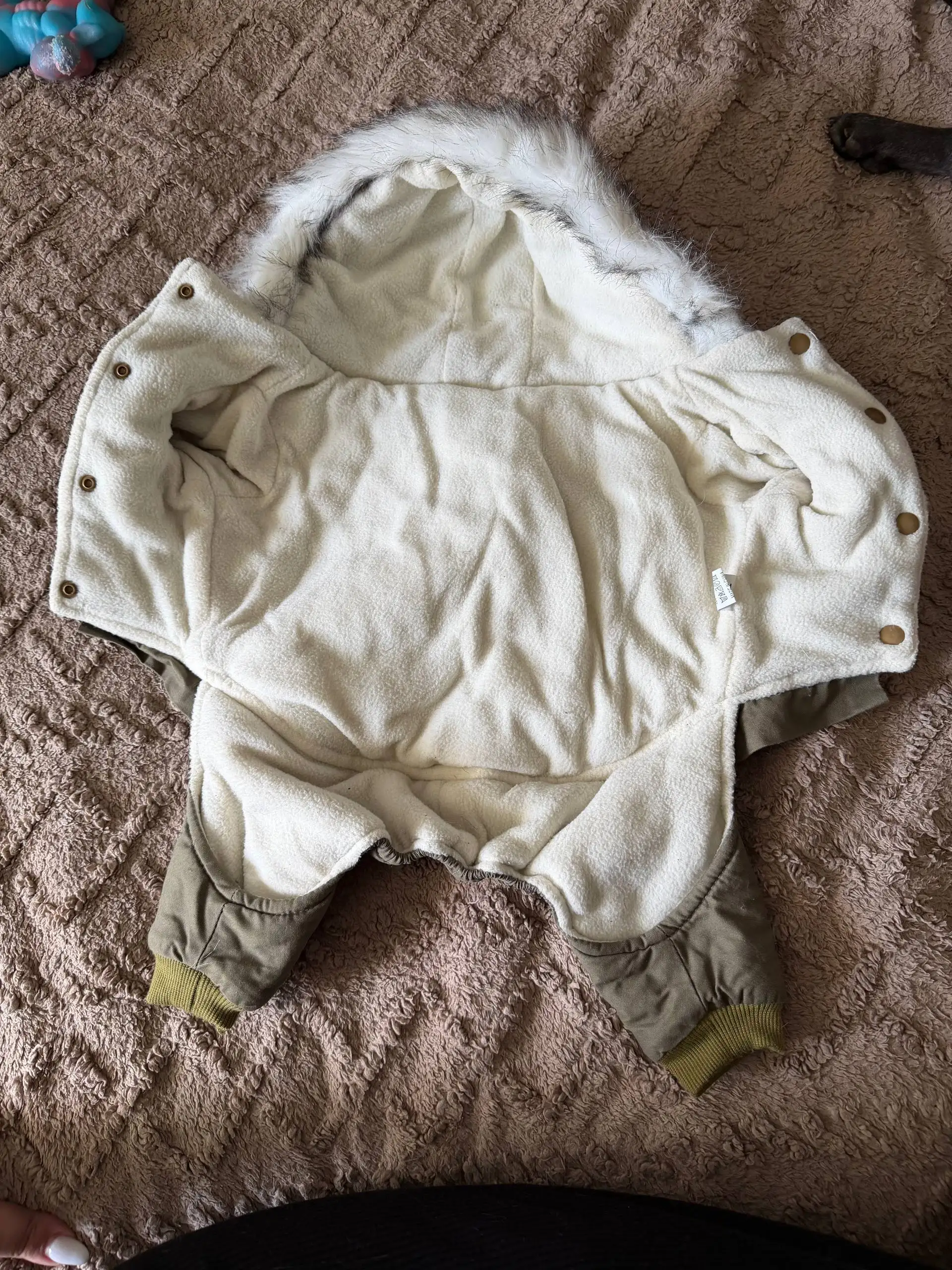 Продажа костюмов для собак - Одежда для животных (Животные) в Ульяновск