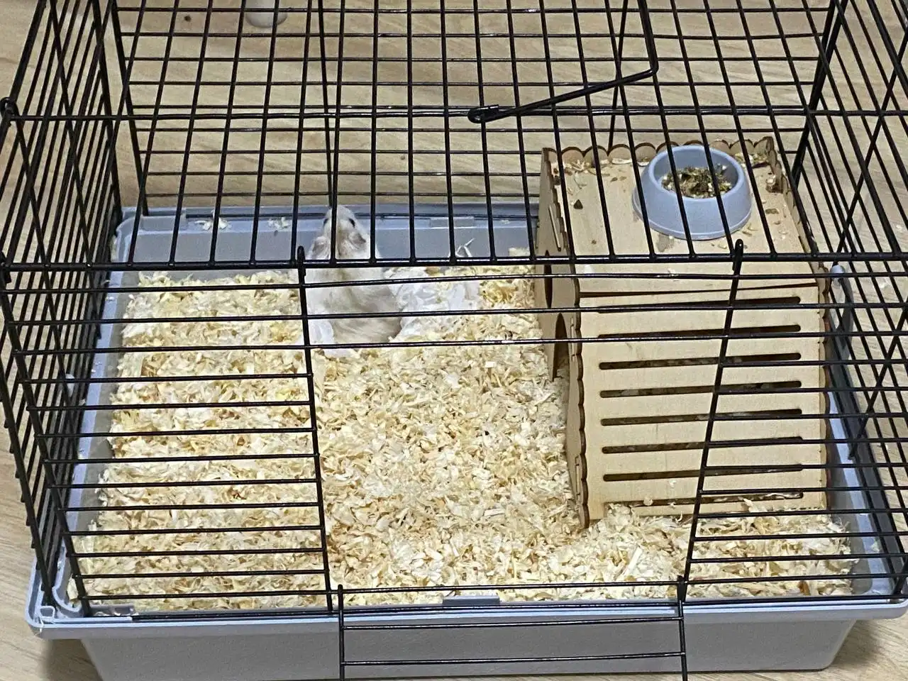 Хомяк с клеткой и аксессуарами