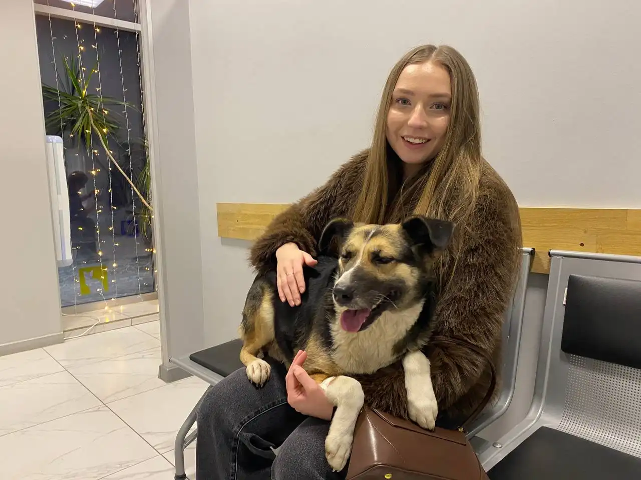 Пострадавшая собака Москва ищет новый дом