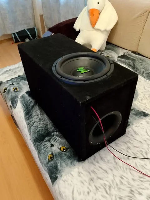 Автомобильный сабвуфер Db Machette lite R 12 - Госномера в Ульяновск