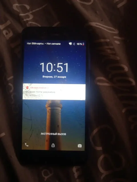 Продам оба работает хорошо - Цветы и букеты в Ульяновск