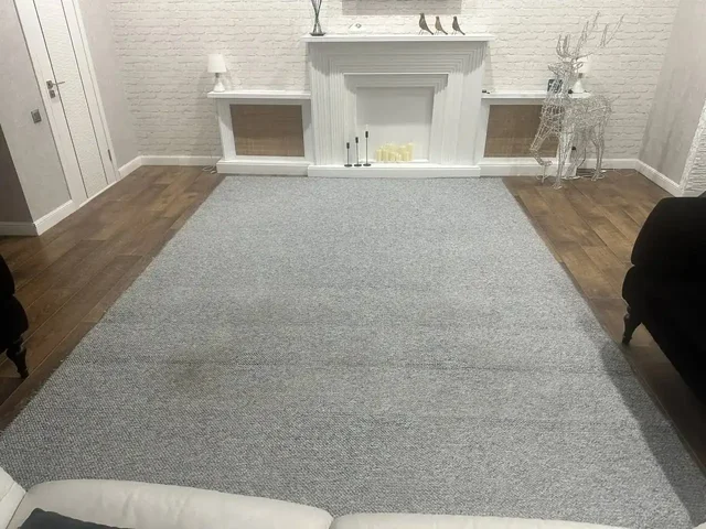 Продам палас размером 3x4 - Саженцы в Ульяновск