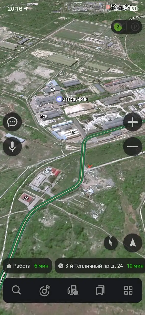 Трехцветная кошка с подростком-котенком у дороги в Багаевке - Кошки (Животные) в Саратов