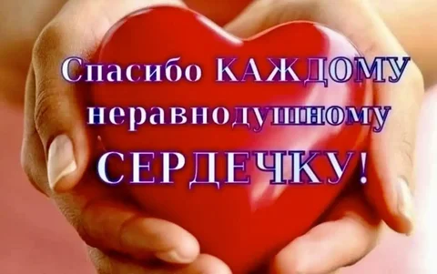 Приходы по потере животных - Передержка/опека в Саратов