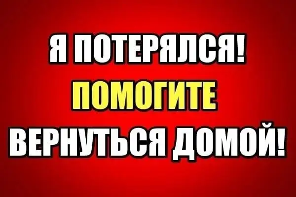 Пропала собака Грейс в Саратове - Собаки (Животные) в Саратов