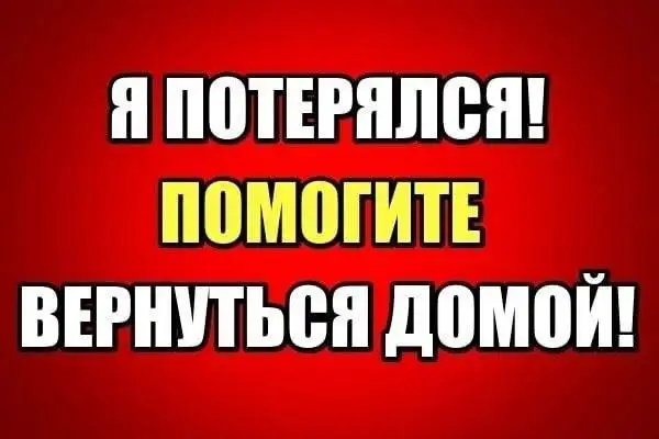 Пропала собака Грейс в Саратове - Собаки (Животные) в Саратов