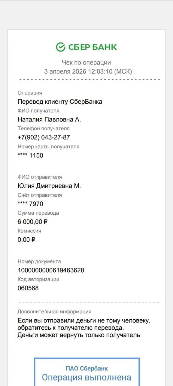 Сбор на передержку кошки Бусинки - Передержка/опека (Животные) в Саратов