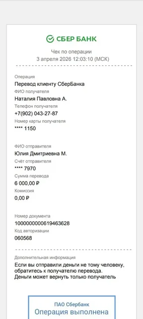 Сбор на передержку кошки Бусинки - Передержка/опека в Саратов