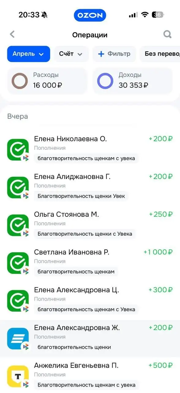 Поступления Т-банк для помощи животным - Животные в Саратов