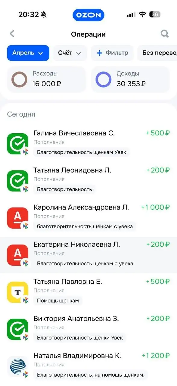 Поступления Т-банк для помощи животным - Животные в Саратов
