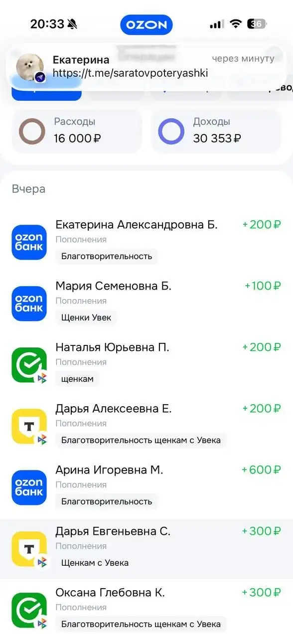 Поступления Т-банк для помощи животным - Животные в Саратов