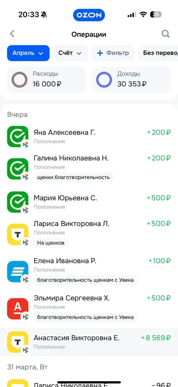 Поступления Т-банк для помощи животным - Животные в Саратов