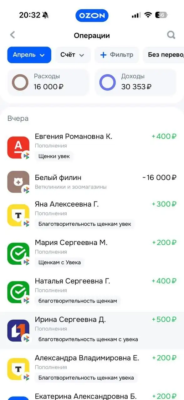 Поступления Т-банк для помощи животным - Животные в Саратов