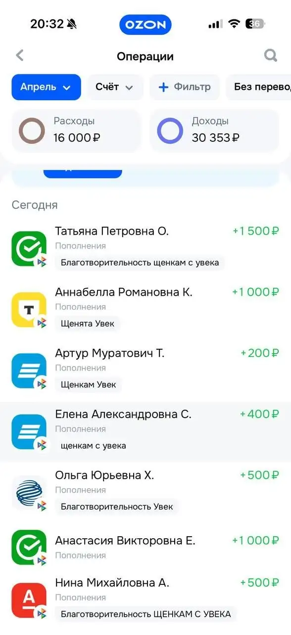 Поступления Т-банк для помощи животным - Животные в Саратов
