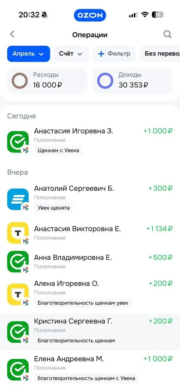 Поступления Т-банк для помощи животным - Животные в Саратов