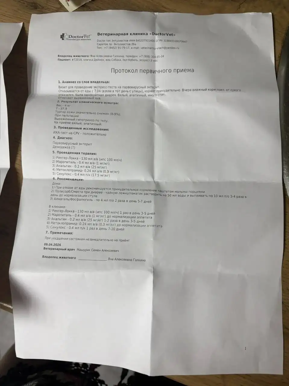 Шестой щенок с Увека нуждается в лечении - Животные в Саратов