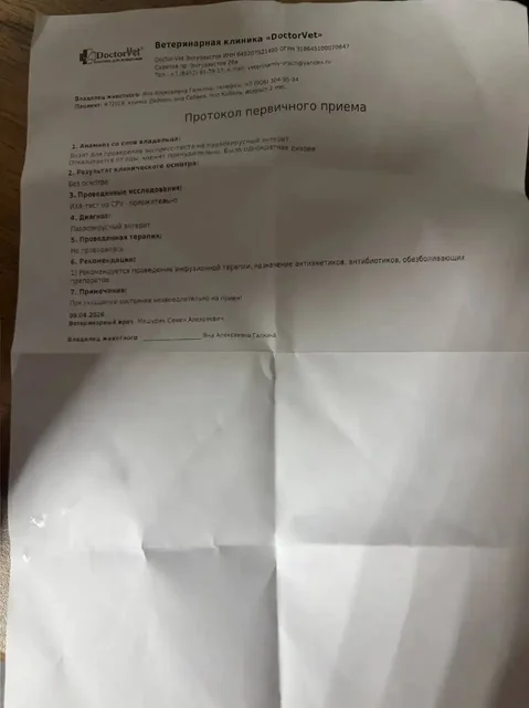 Сбор средств на лечение щенка с энтеритом и демодекозом - Животные в Саратов