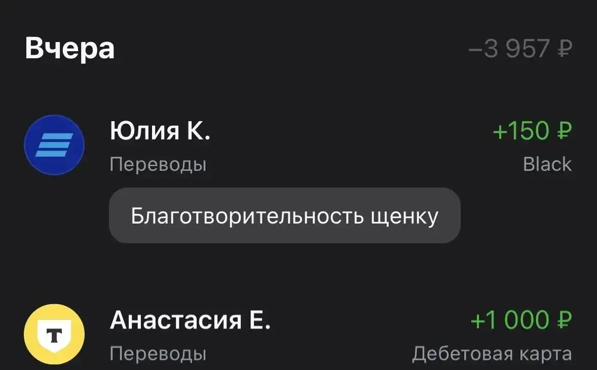 Потерянные животные в Саратове - Животные в Саратов