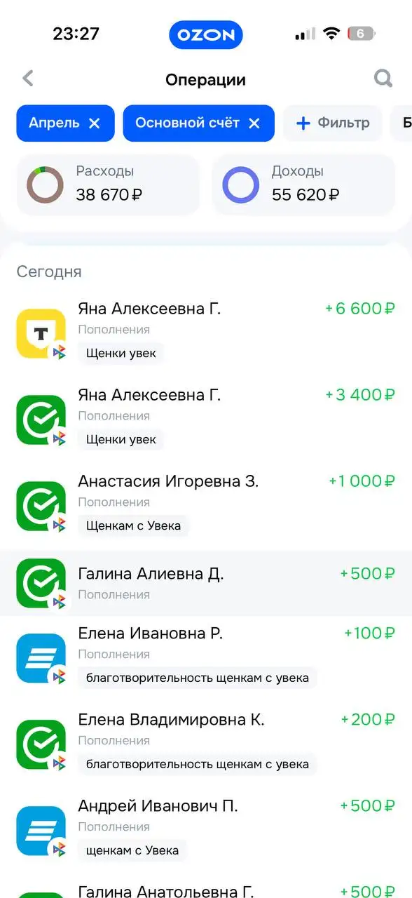 Щенята Увек - Собаки (Животные) в Саратов