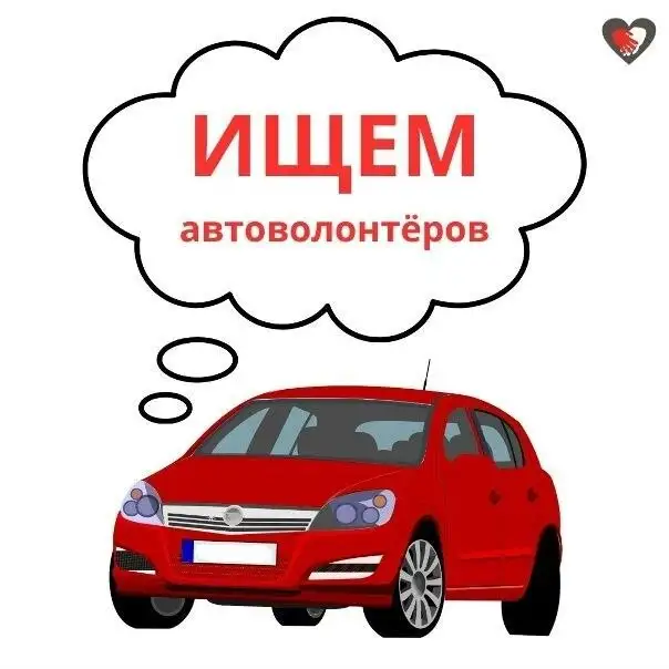 Нужна помощь машиной для собаки в Саратове - Услуги в Саратов