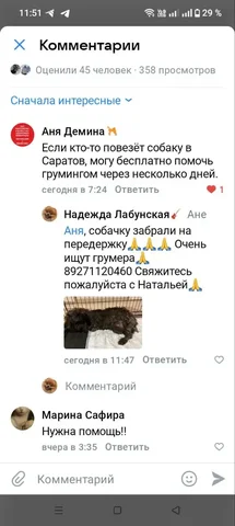 Поиск помощницы для груминга животных в Саратове - Груминг в Саратов