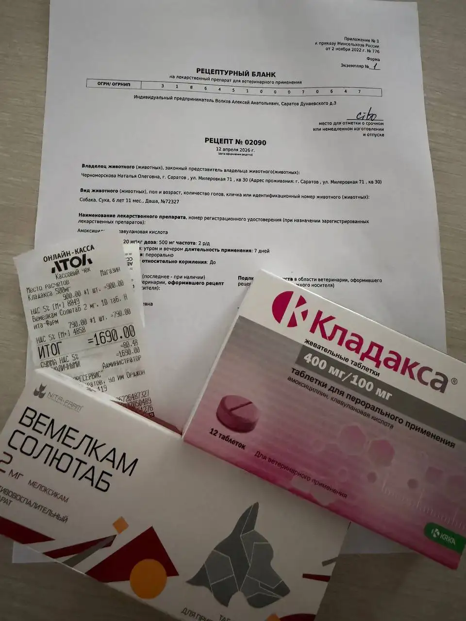 Сбор средств на операцию для собачки из Балаково - Собаки (Животные) в Балаково