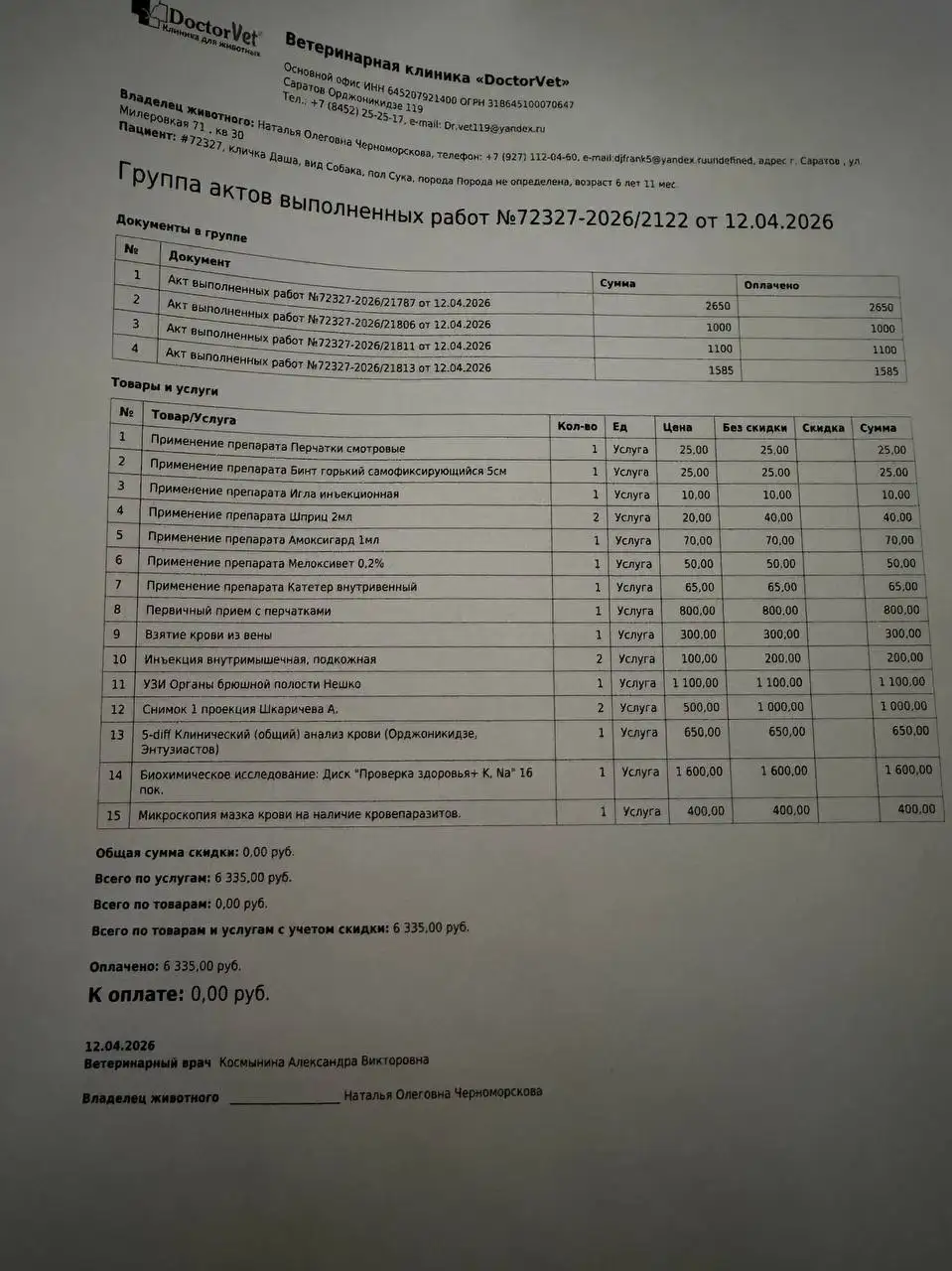 Сбор средств на операцию для собачки из Балаково - Собаки (Животные) в Балаково