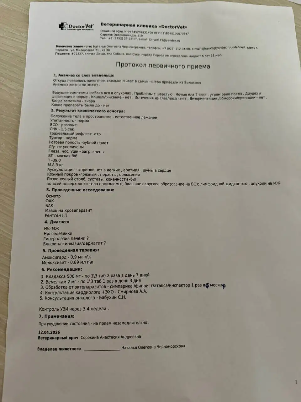 Сбор средств на операцию для собачки из Балаково - Собаки (Животные) в Балаково