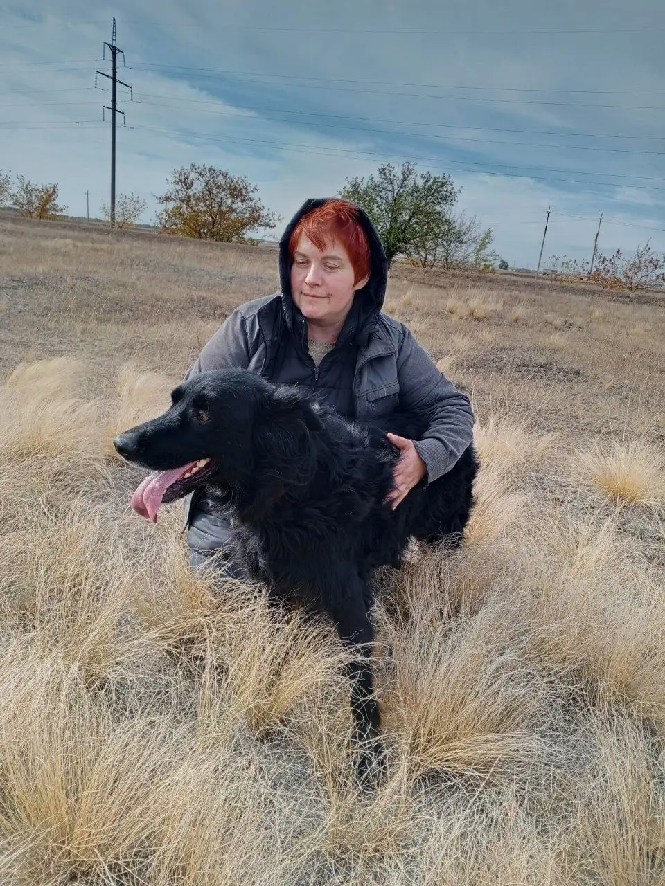 Сбор средств на передержку собаки Ночки - Передержка (Животные) в Саратов