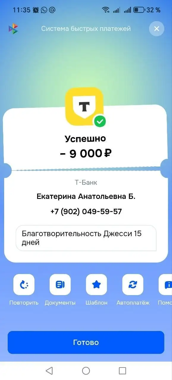 Приют для Джесси - Кошки (Животные) в Саратов