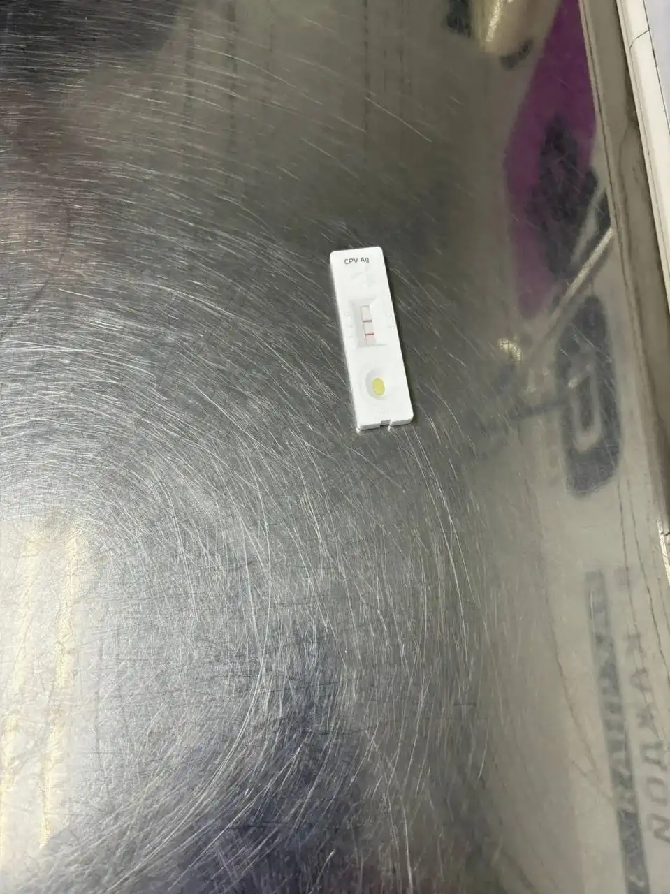 Шестой щенок с Увека нуждается в лечении - Собаки (Животные) в Саратов