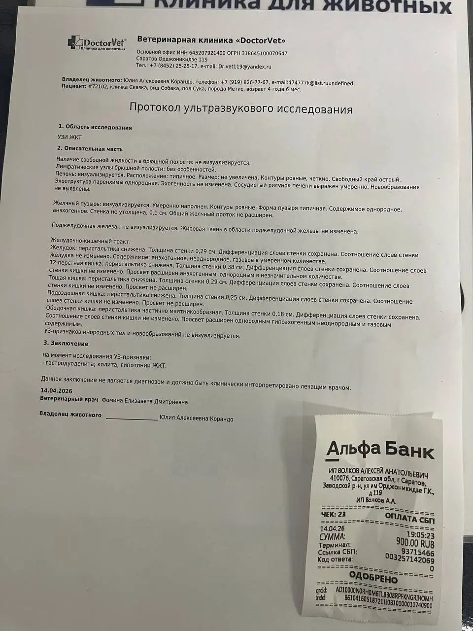 Финансовый отчет по лечению собаки Сказки - Животные в Саратов