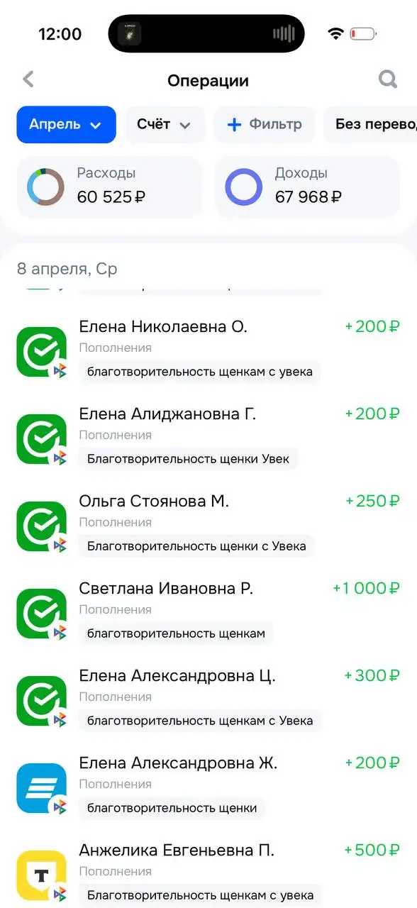 Отчет по щенятам с Увека - Собаки (Животные) в Саратов