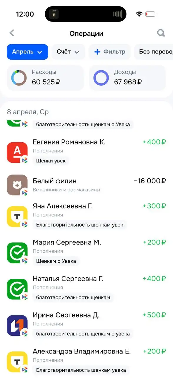 Отчет по щенятам с Увека - Собаки (Животные) в Саратов