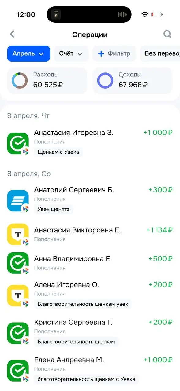 Отчет по щенятам с Увека - Собаки (Животные) в Саратов