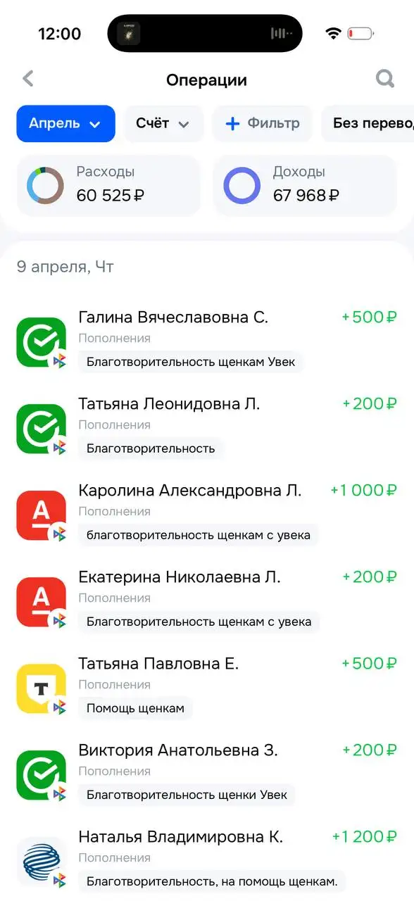 Отчет по щенятам с Увека - Собаки (Животные) в Саратов