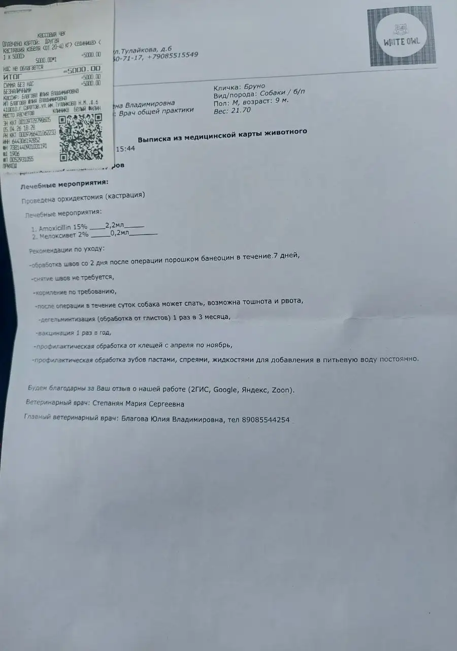 Сбор средств на передержку животного Бруно - Животные в Саратов