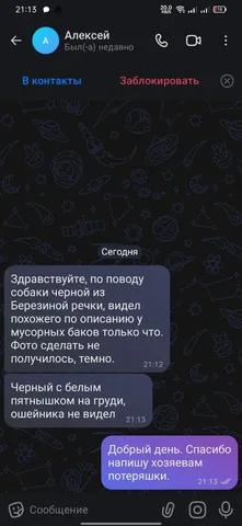 Потерянные животные в Саратове - Потерянные/найденные животные в Саратов