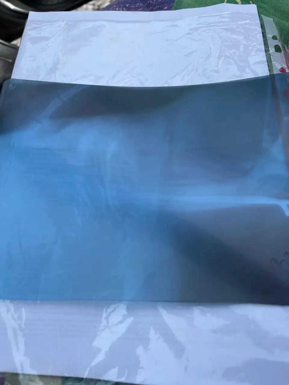 Сбор средств на лечение кабачка - Животные в Саратов