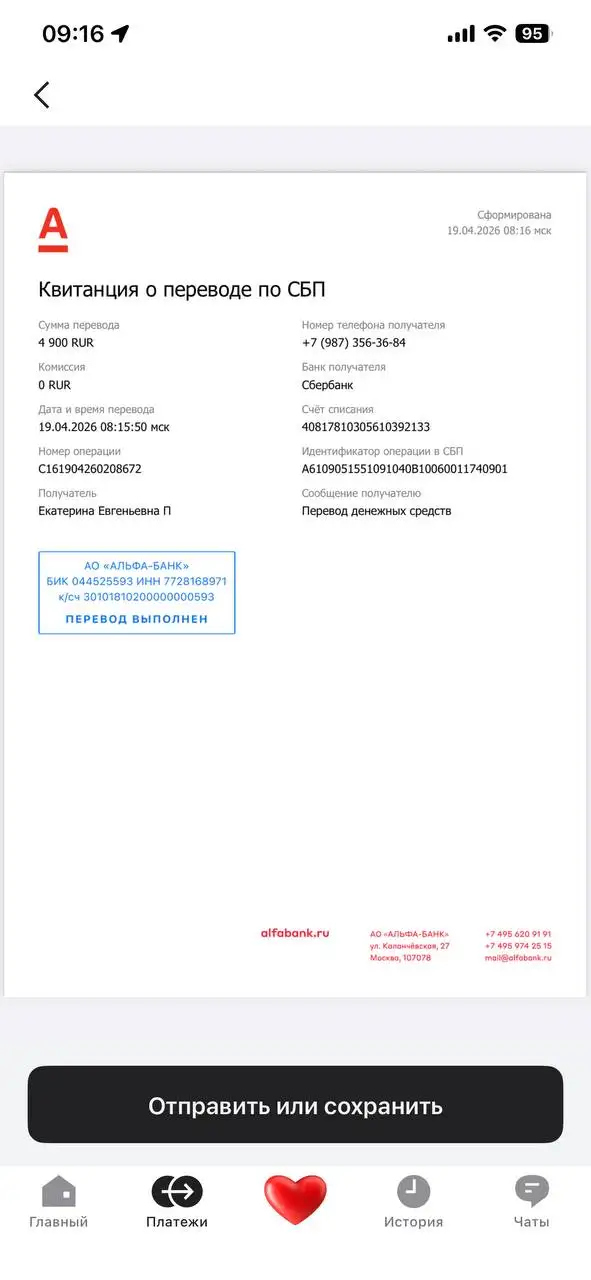 Сбор средств на лечение кабачка - Животные в Саратов