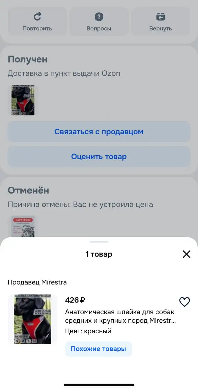 Щенок Рекс ищет дом - Собаки (Животные) в Саратов