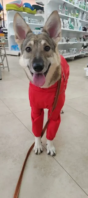 Сбор на Тишу - Потеряшки в Саратов