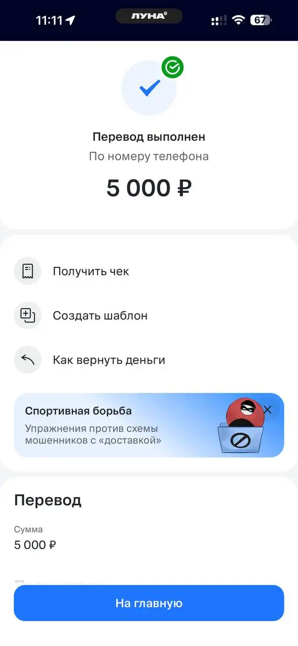 Потеряшка найдена - передержка оплачена - Животные в Саратов