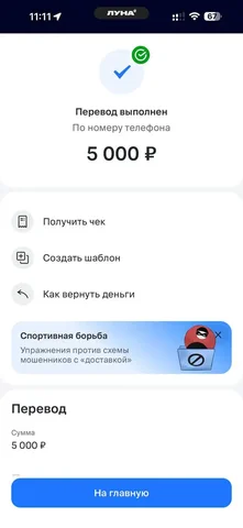 Потеряшка найдена - передержка оплачена - Питомцы в Саратов