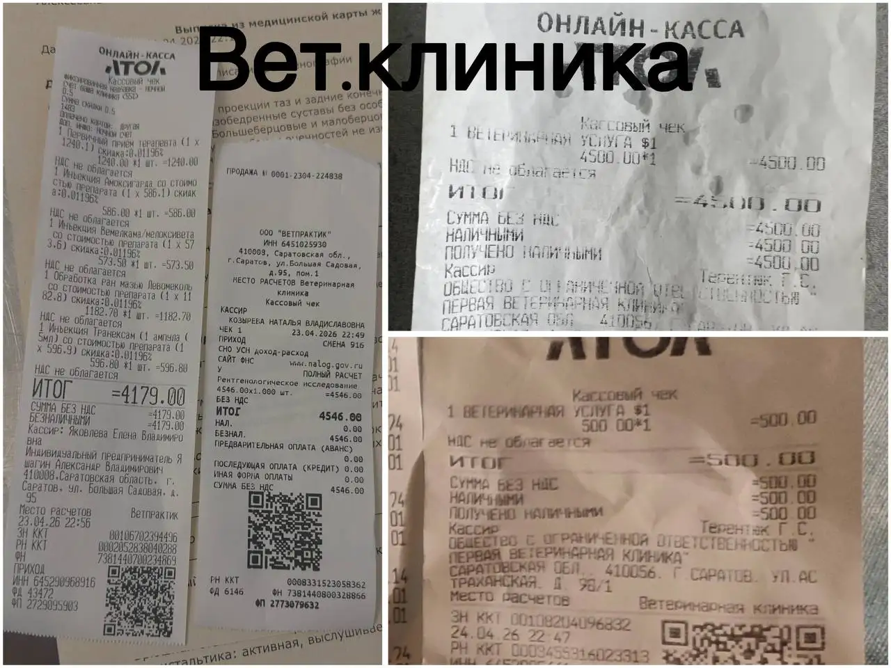 Отчет по сбору для собаки Стаффа Виты - Благотворительность (Животные) в Саратов