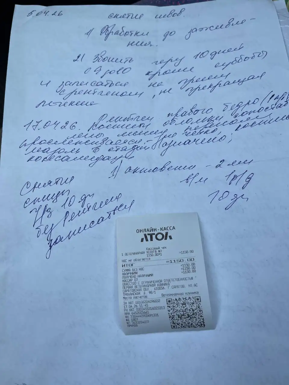 Сбор на операцию и передержку кота Кабачка - Животные в Саратов